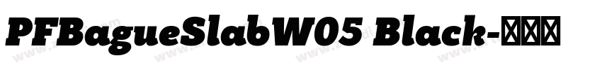 PFBagueSlabW05 Black字体转换